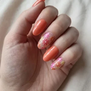 Sunset Bloom