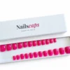 Fuchsia Pop