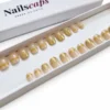 Capsules press-on Éclat d’Or nude et dorées en forme carrée courte